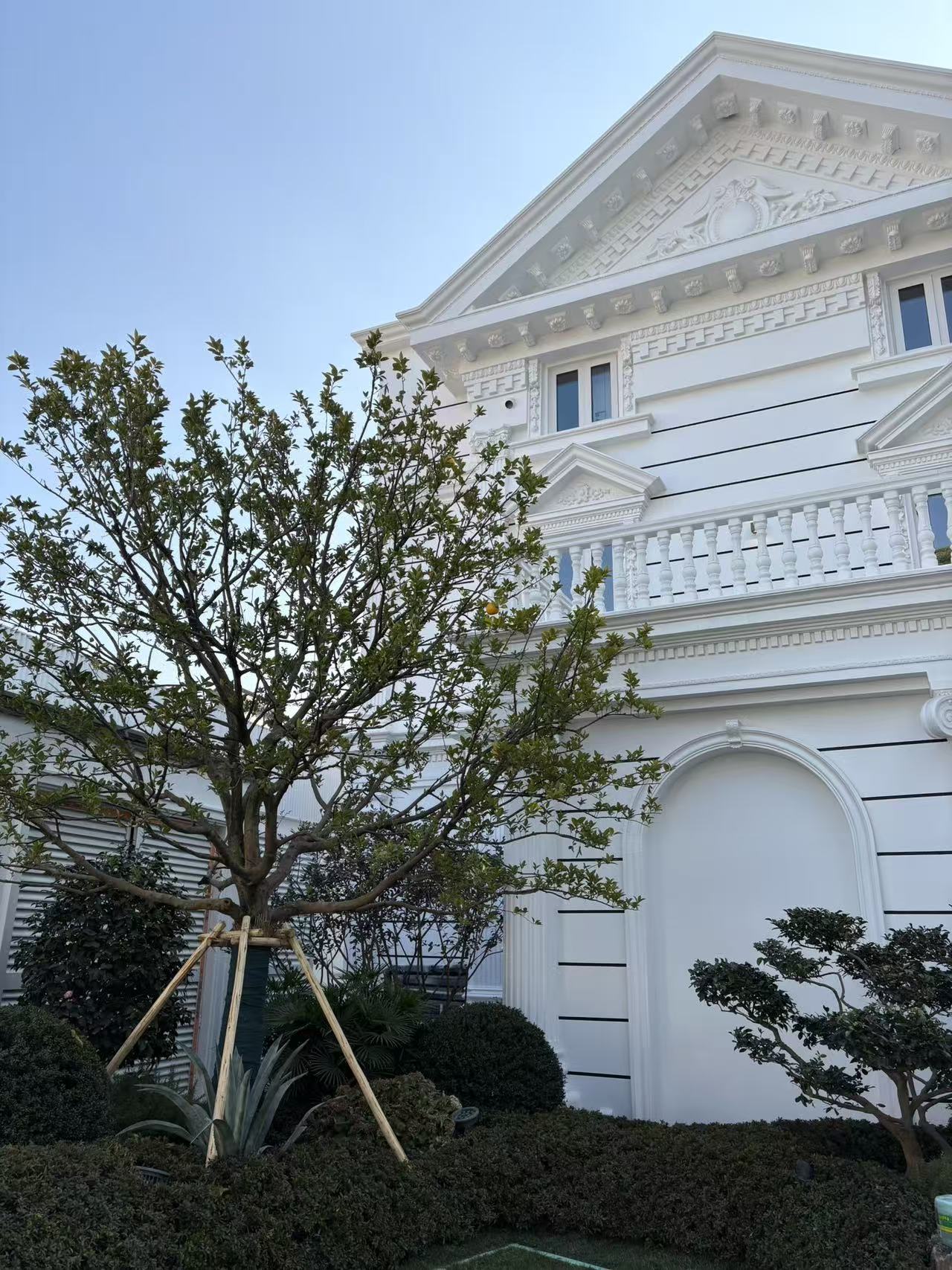 上海虹許路歐式別墅紗窗項目落地-韋柏網(wǎng)業(yè)